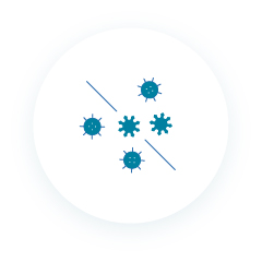 高い抗ウイルス性能